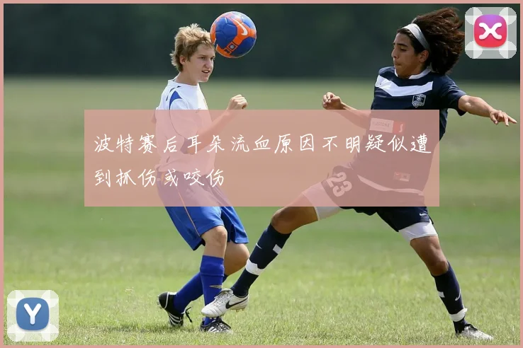 波特赛后耳朵流血原因不明疑似遭到抓伤或咬伤