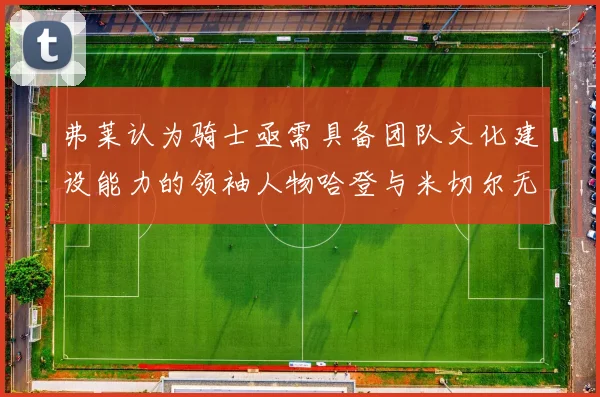 弗莱认为骑士亟需具备团队文化建设能力的领袖人物哈登与米切尔无法胜任