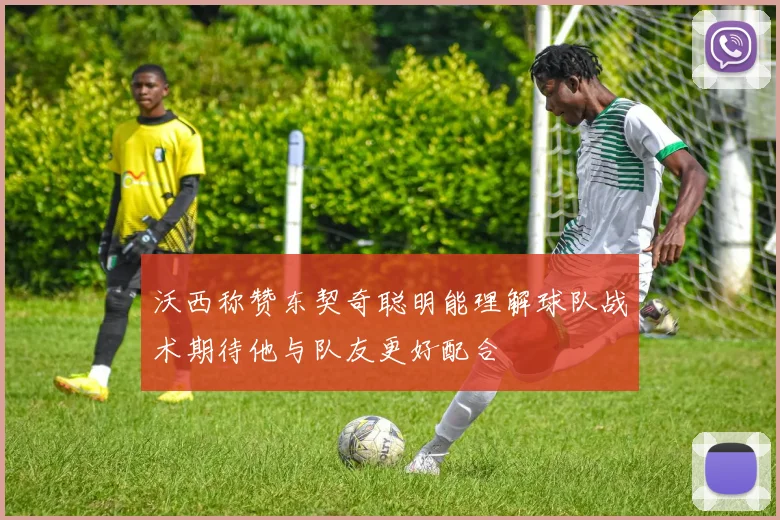 沃西称赞东契奇聪明能理解球队战术期待他与队友更好配合